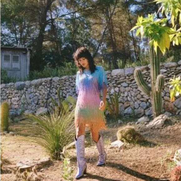 Nasty Gal Rainbow Tassel Fringe Shift Dress - Picture 11 of 11